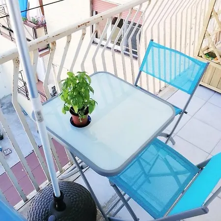 Molly & Luna 卡利亚里